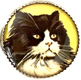 Last Ones, Cat Portrait, Black & White Longhair Kitty on Yellow 18mm Winky and Dutch 3/4" Shank Back Button