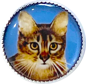 Last Ones, Cat Portrait, Tabby Kitty on Blue 18mm Winky and Dutch 3/4" Shank Back Button