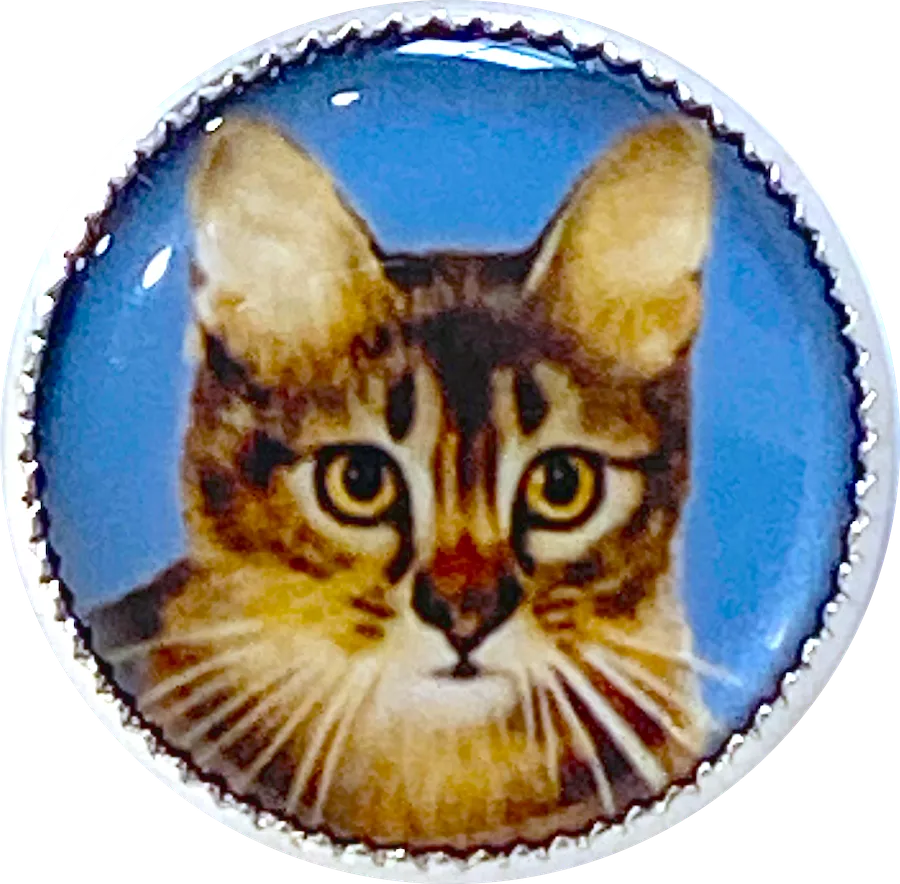 Last Ones, Cat Portrait, Tabby Kitty on Blue 18mm Winky and Dutch 3/4" Shank Back Button