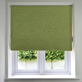 Panama Fern Green Roman Blind