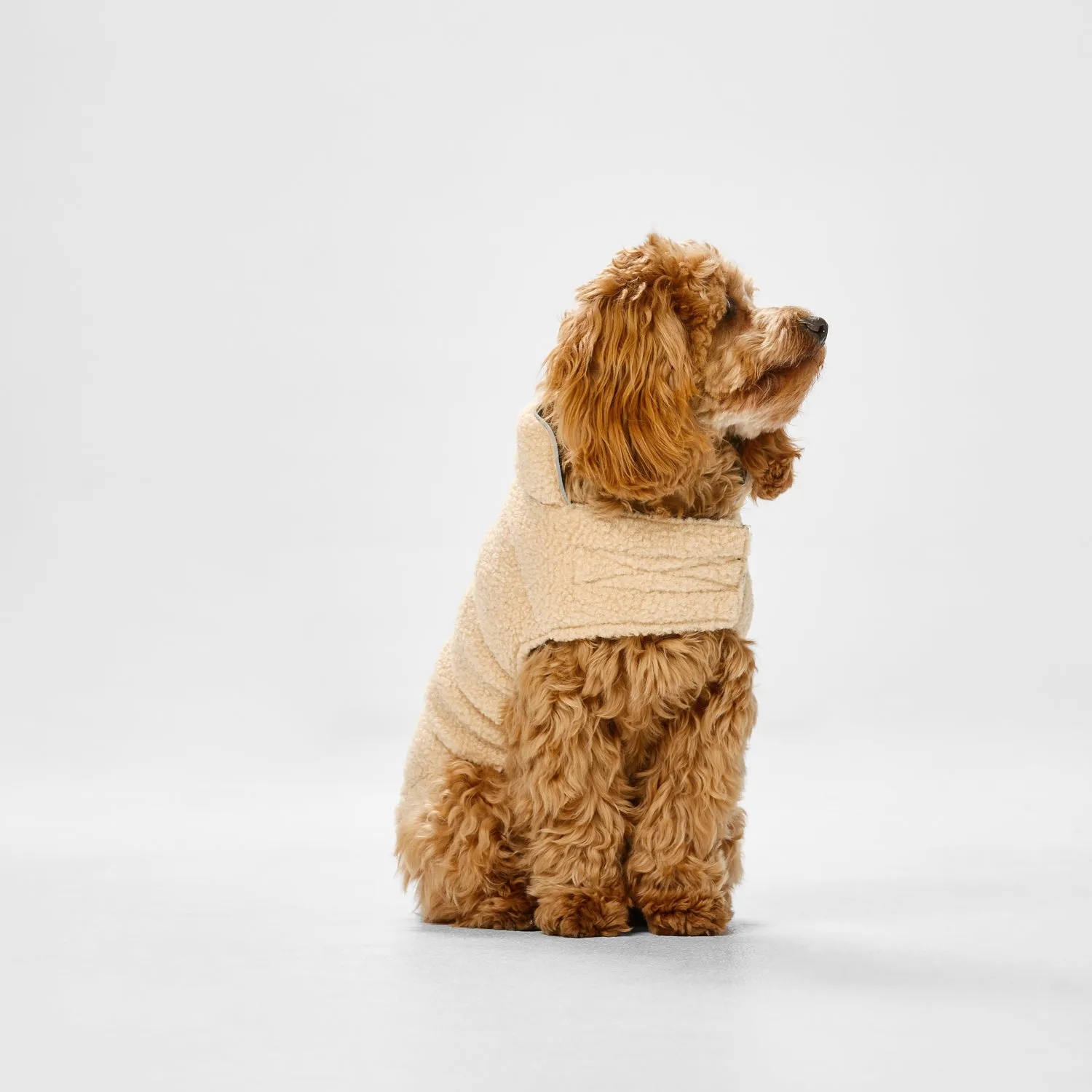 Snooza Dog Apparel Teddy Puffer Jacket Caramel Large ***